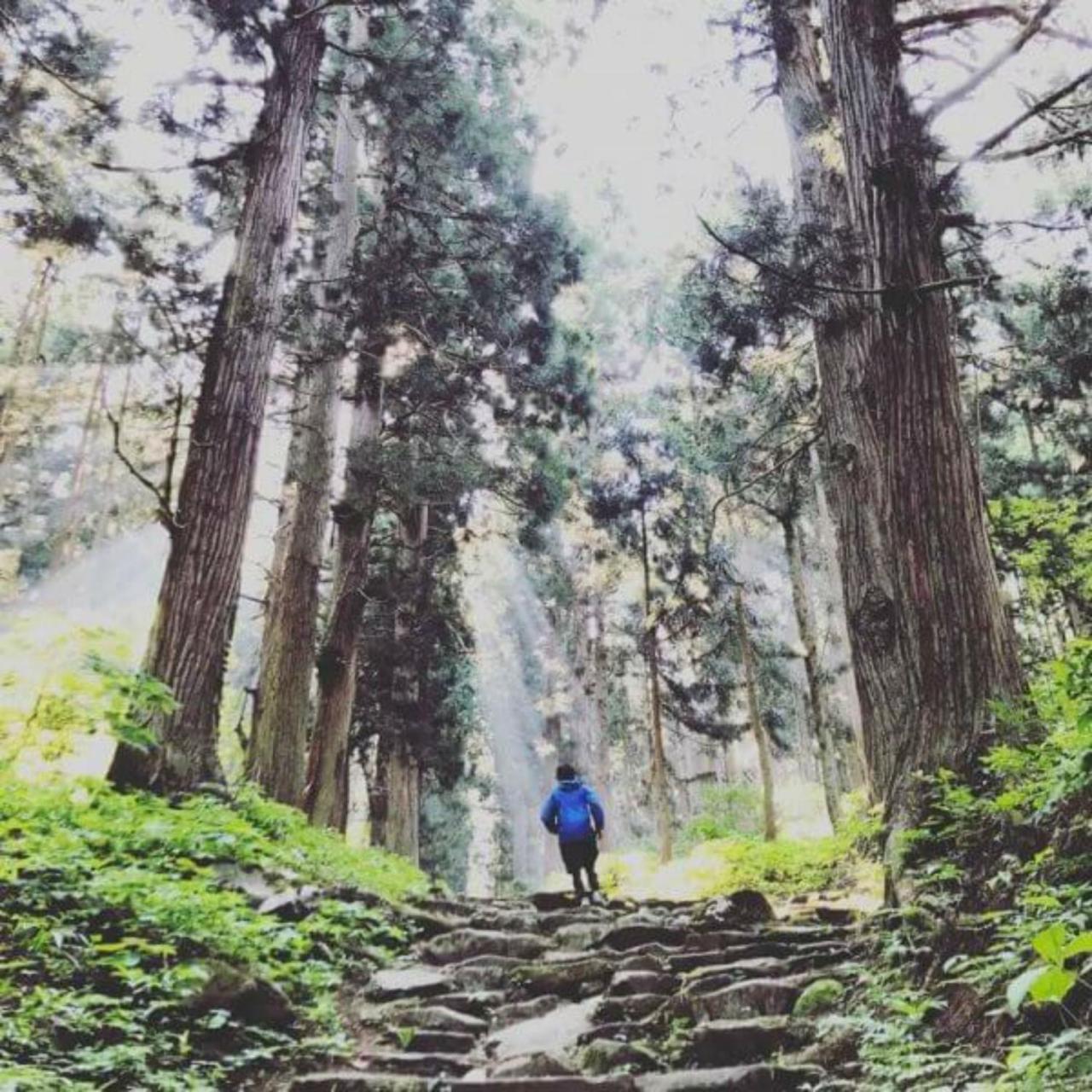 Lodge Nagano Nozawaonsen Exteriér fotografie